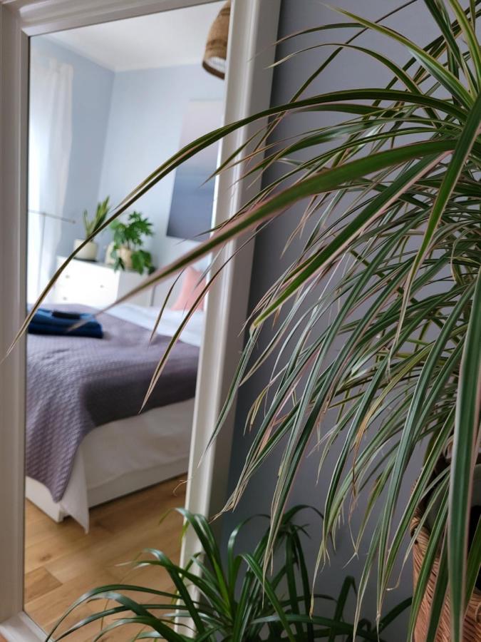 Appartement Maciejkowa à Szczecin Extérieur photo