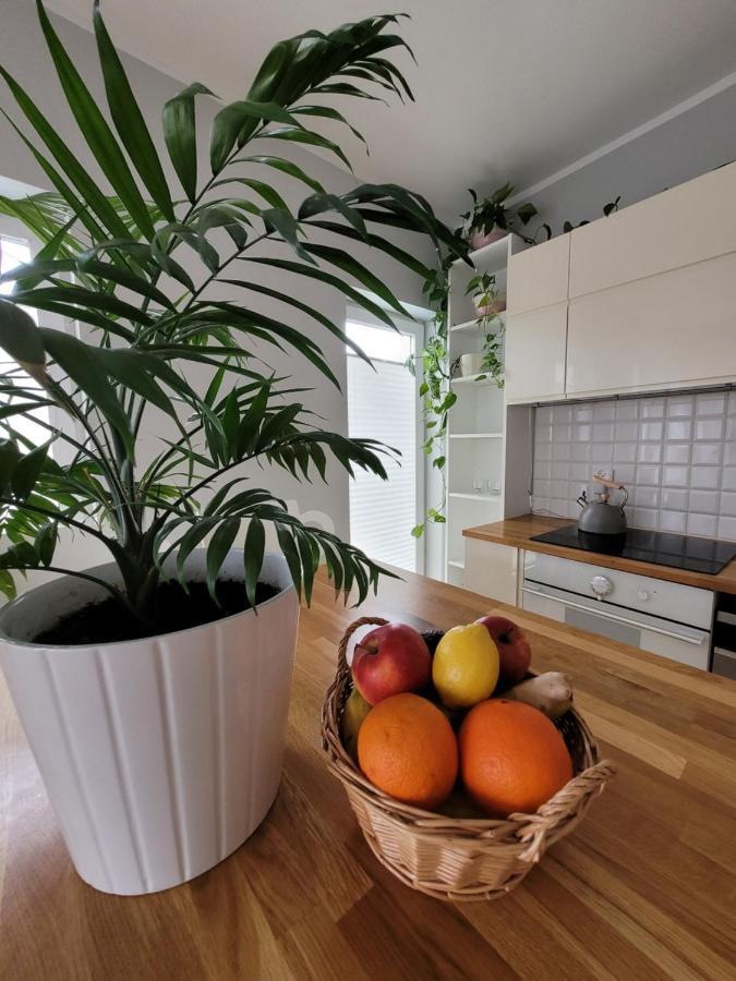 Appartement Maciejkowa à Szczecin Extérieur photo